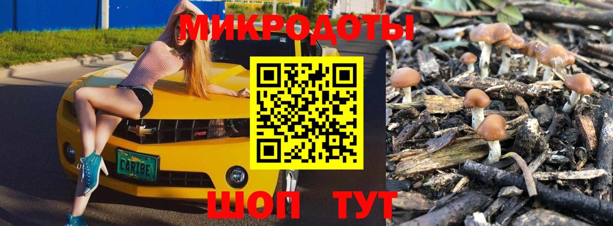 Псилоцибиновые грибы Magic Shrooms  где можно купить   Серов  Вход с VPN 