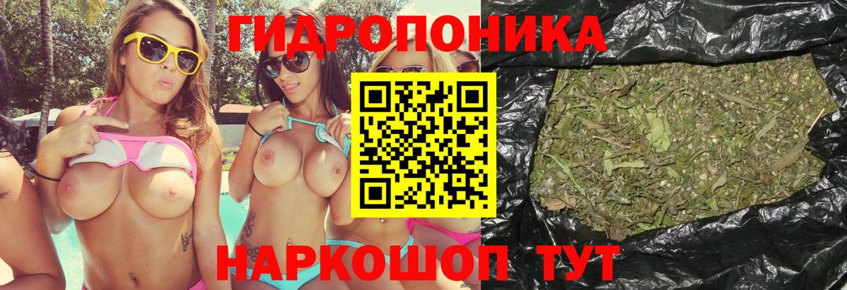 МАРИХУАНА Amnesia  Вход с VPN  Серов  Марихуана план  Канабис ГИДРОПОН 